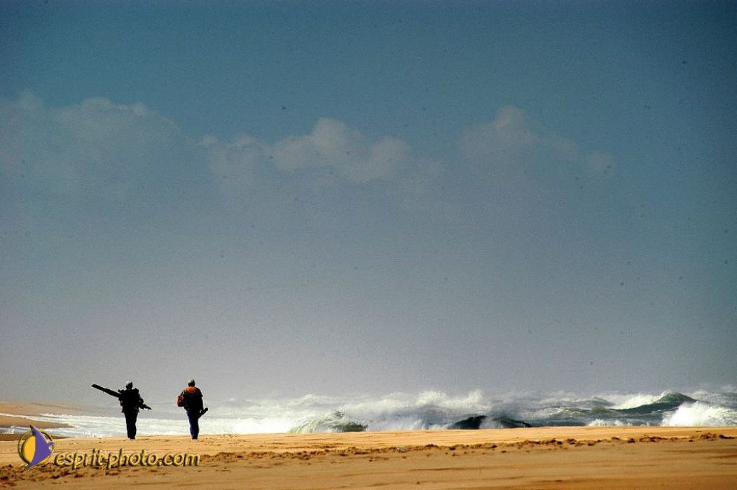 Nom de l'image : EP08-0347_(c)Norbert-JUNG — Description :